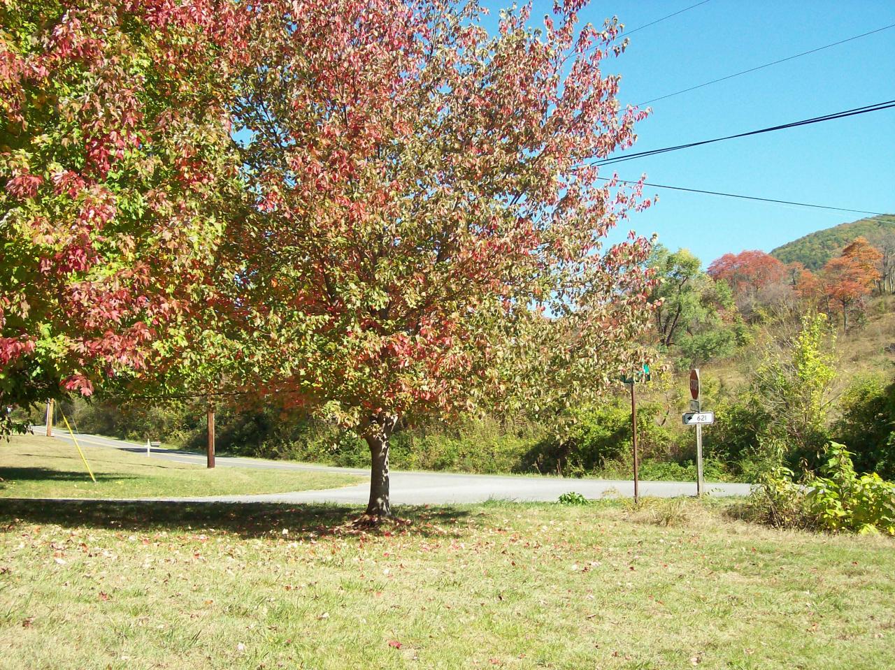 1595 Beaumont Road Roanoke, VA 24019 - Photo 10 of 13 Yard