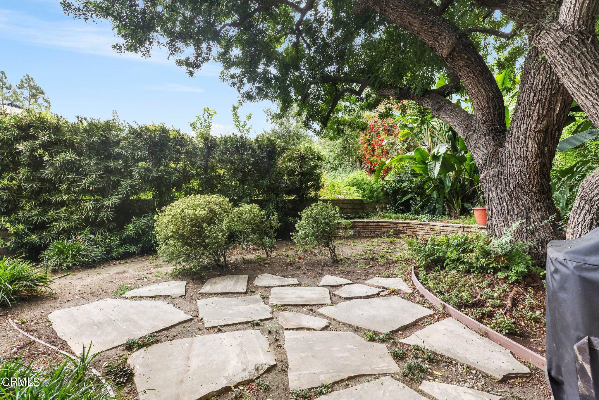 a view of yard with green space