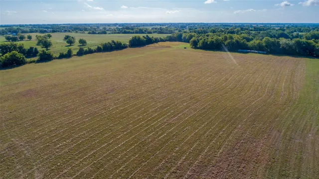 a view of a city with green space