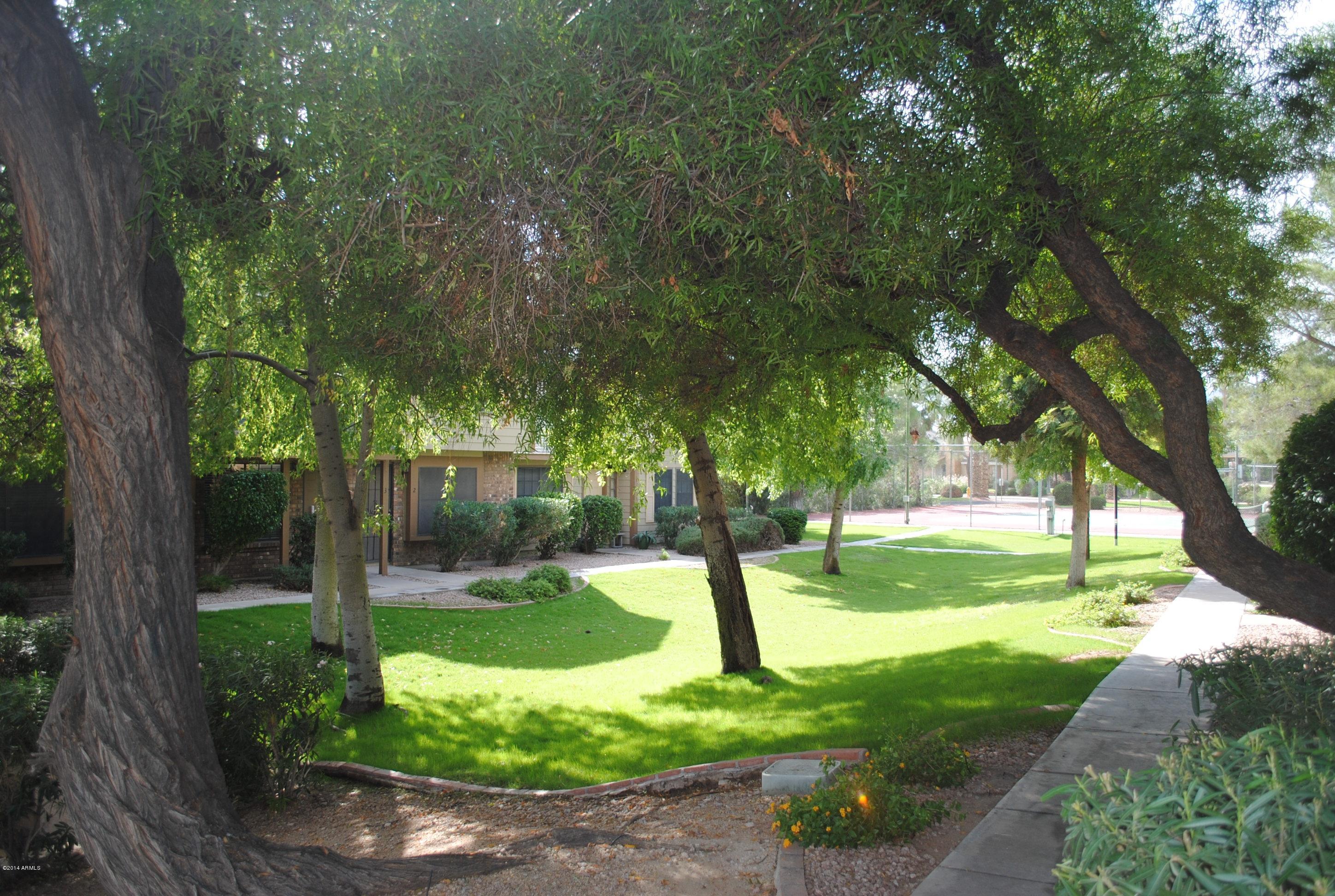 4843 East Corral Road, Unit 5 Phoenix, AZ 85044 - Photo 2 of 16 View from Front Door--Tons of Shade