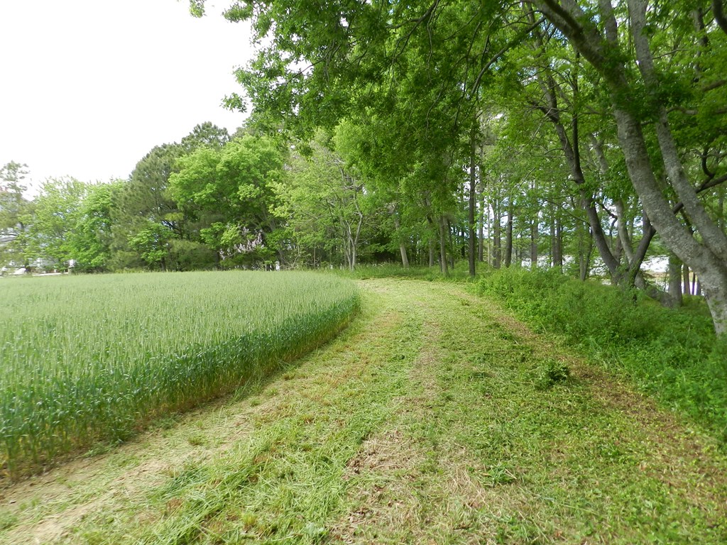 Lot1 Miles Wharf Road, Unit 1 Exmore, VA 23350 - Photo 22 of 33