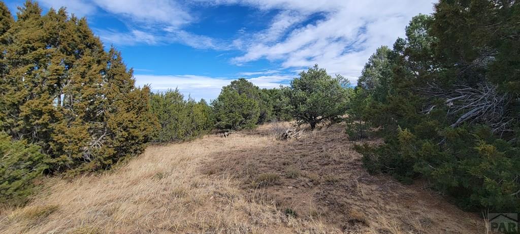 Lot 34 Silver Spur Road Walsenburg, CO 81089 - Photo 35 of 43