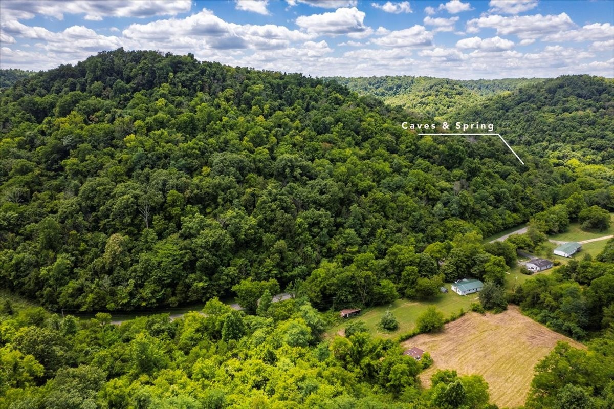 0 Burks Hollow Road Christiana, TN 37037 - Photo 11 of 12 a view of a bunch of trees