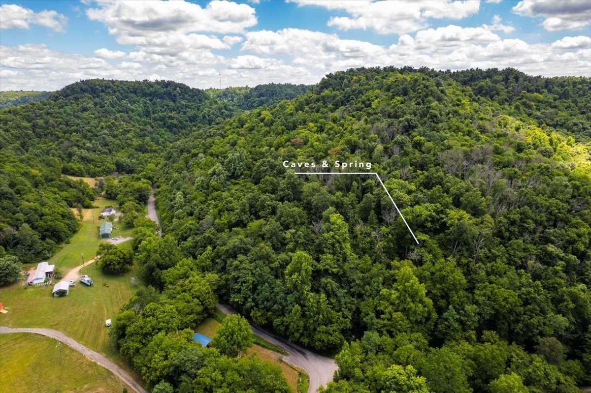 0 Burks Hollow Road Christiana, TN 37037 - Photo 12 of 12 a view of a city