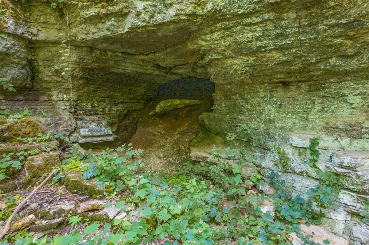 0 Burks Hollow Road Christiana, TN 37037 - Photo 2 of 12