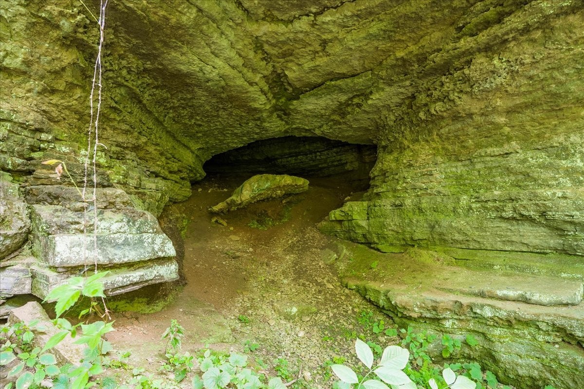 0 Burks Hollow Road Christiana, TN 37037 - Photo 3 of 12 a bathroom with a small yard