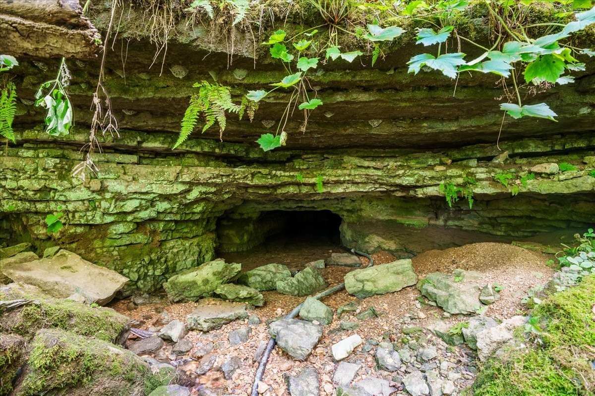 0 Burks Hollow Road Christiana, TN 37037 - Photo 4 of 12 a view of swimming pool with a yard