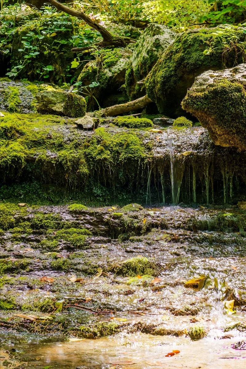 0 Burks Hollow Road Christiana, TN 37037 - Photo 5 of 12 a backyard of a house with lots of green space
