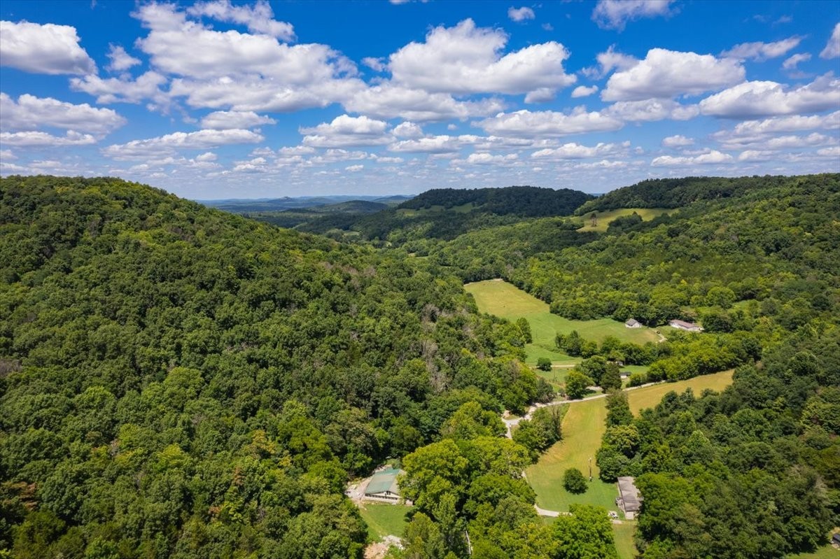 0 Burks Hollow Road Christiana, TN 37037 - Photo 8 of 12 a view of a houses with sky view