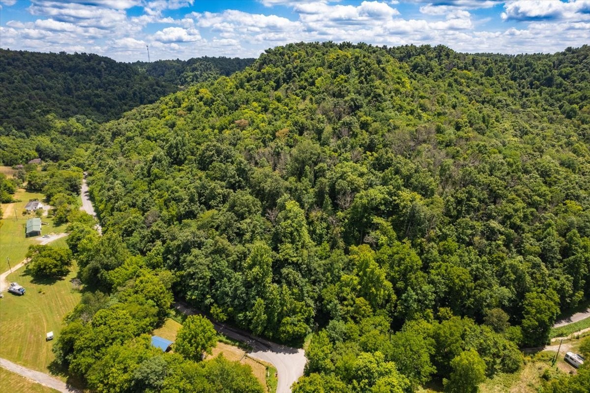 0 Burks Hollow Road Christiana, TN 37037 - Photo 9 of 12 a view of a bunch of flowers
