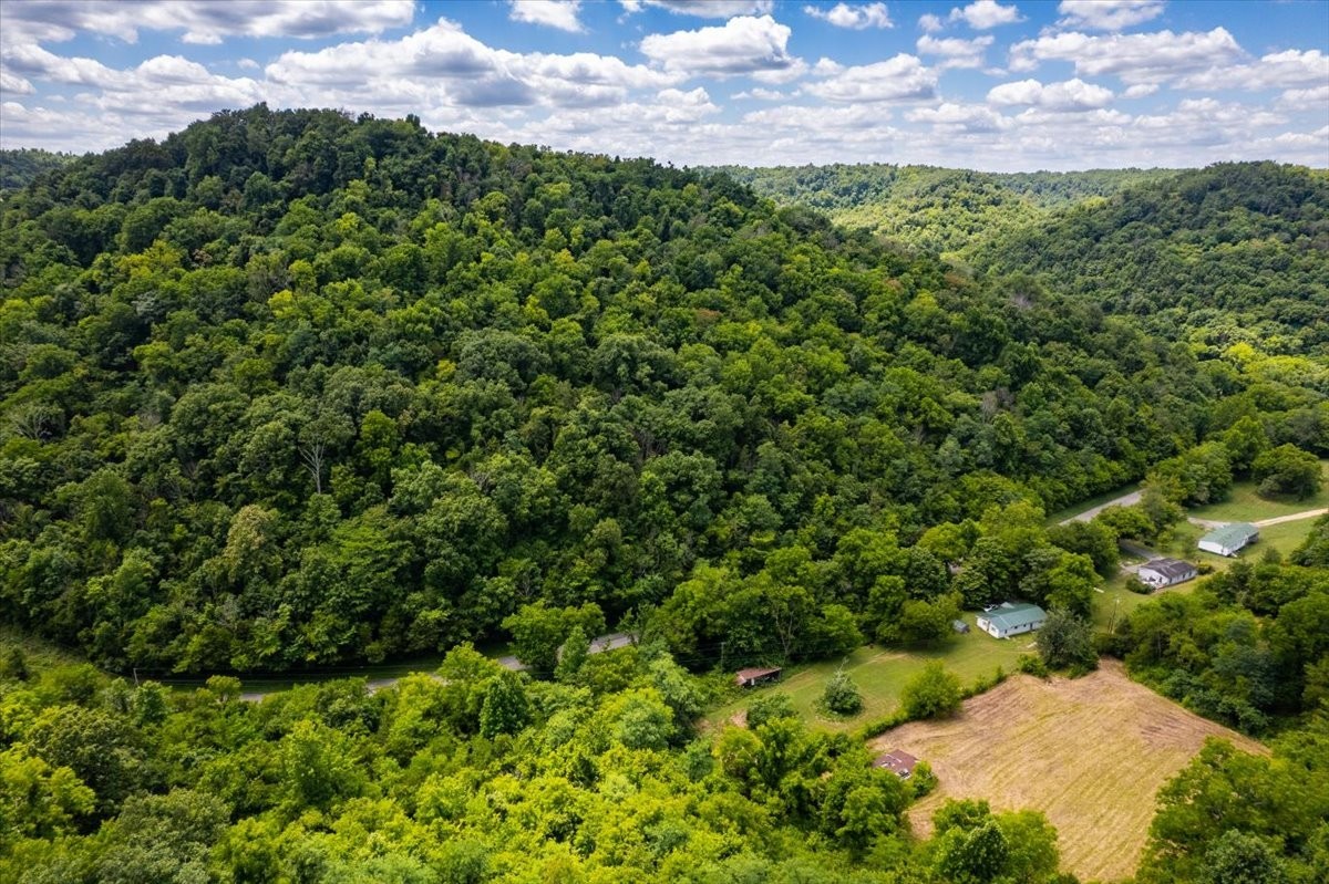 0 Burks Hollow Road Christiana, TN 37037 - Photo 10 of 12 a view of a bunch of trees