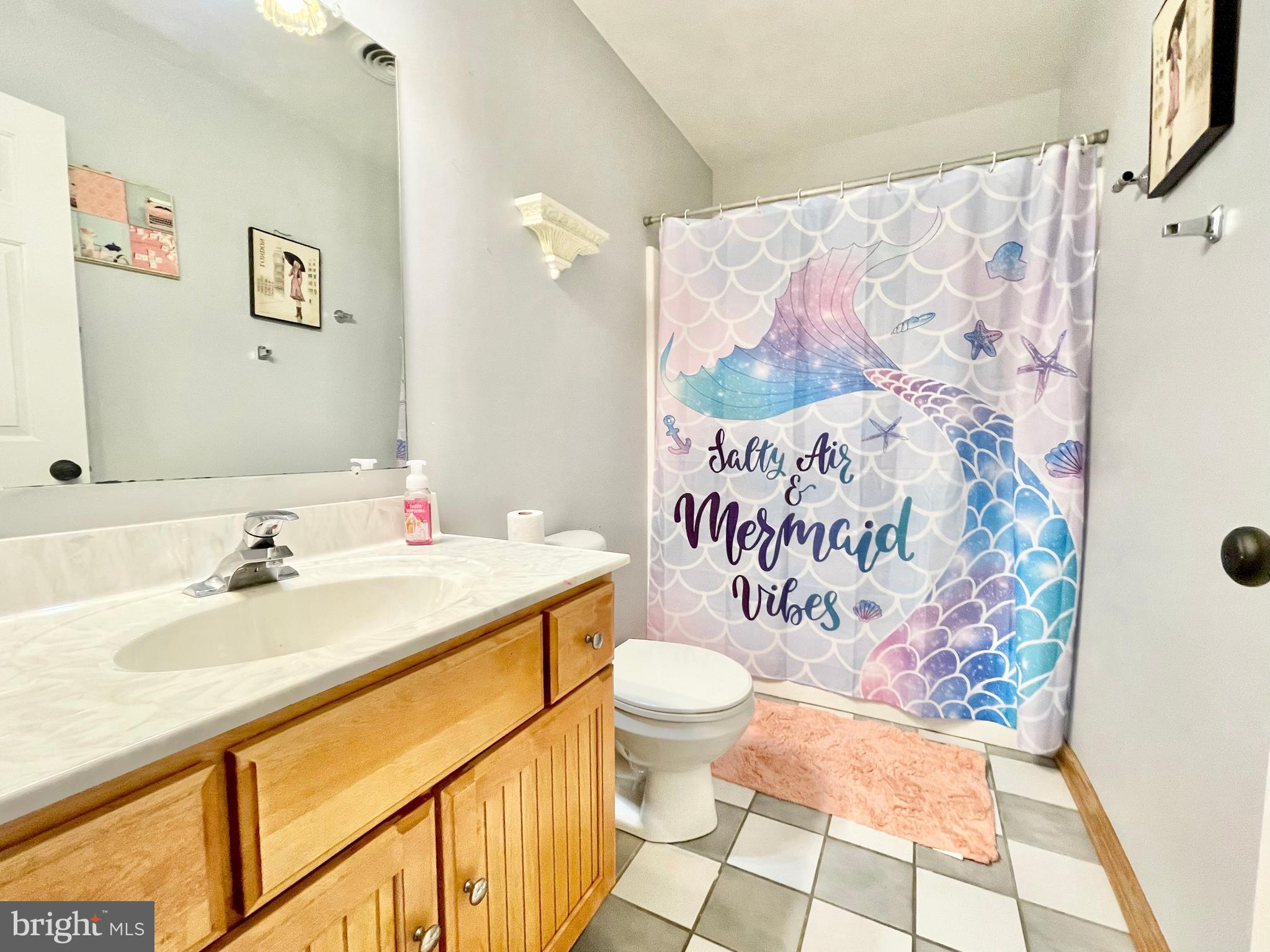 78 Jillian Drive Dover, DE 19901 - Photo 34 of 42 a bathroom with a sink mirror vanity and toilet