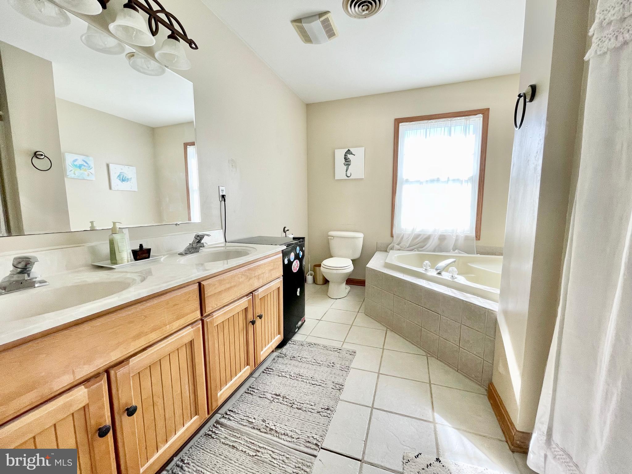 78 Jillian Drive Dover, DE 19901 - Photo 39 of 42 a large bathroom with a double vanity sink a mirror and a bathtub