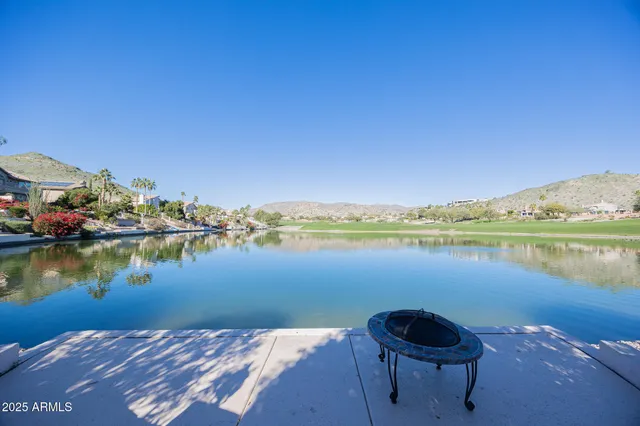 a view of a backyard with plants and a palm tree