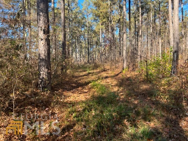 0 Hwy 5 Southwest Roopville, GA 30170 - Photo 1 of 1 a view of yard