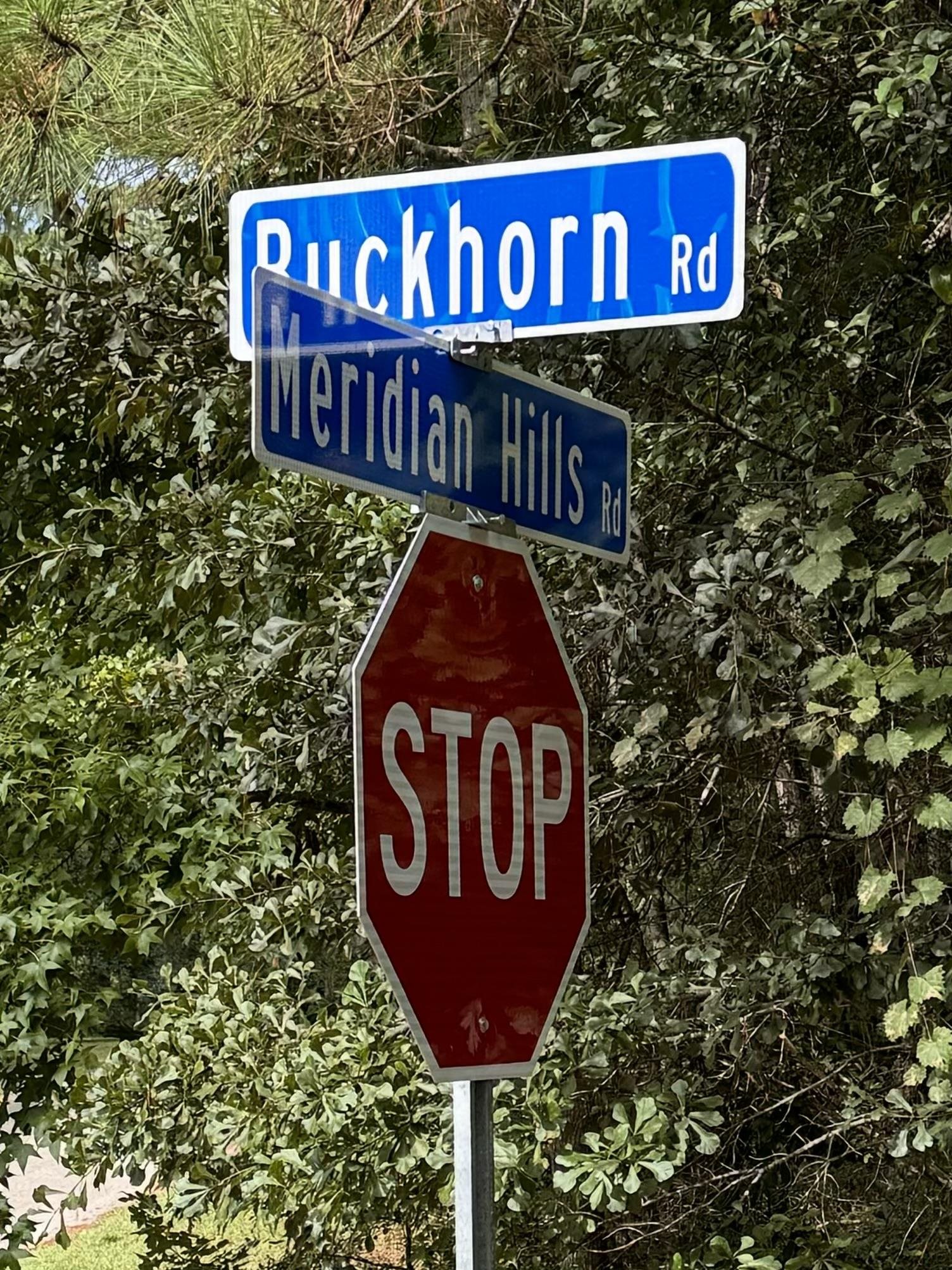 Buckhorn Road Tallahassee, FL 32312 - Photo 3 of 3 Gallery Image 3