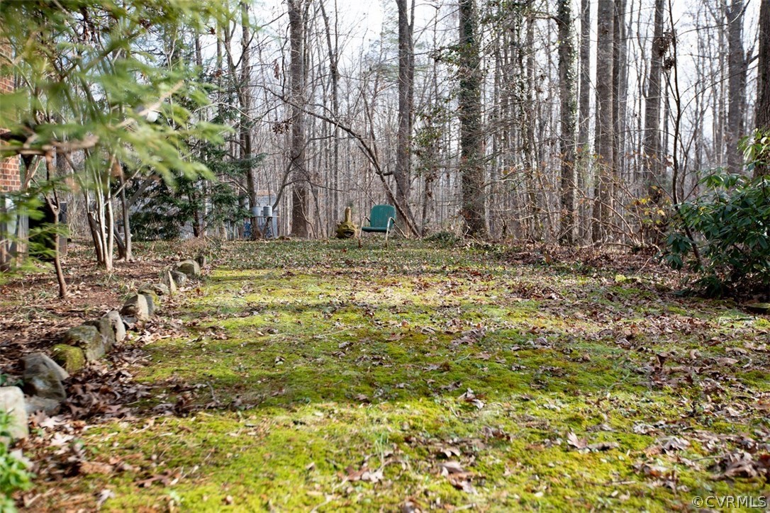 526 First Rock Road Prospect, VA 23960 - Photo 48 of 50 a view of a backyard with trees