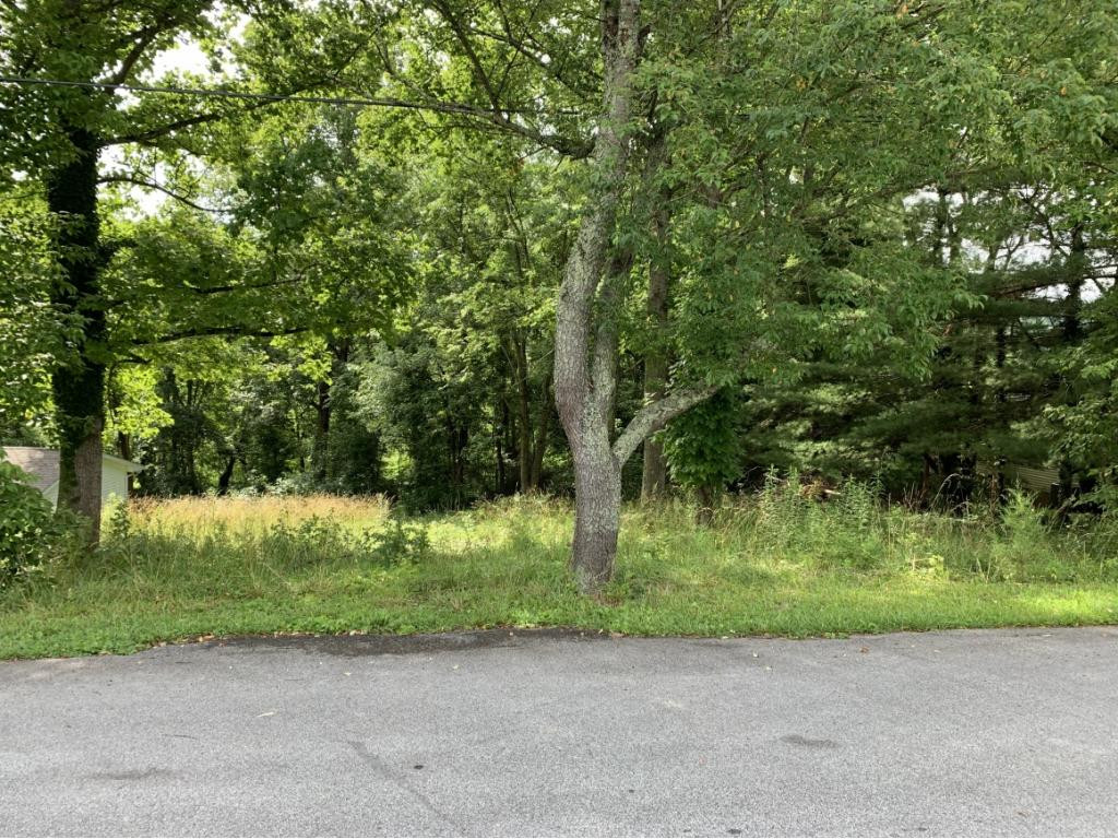330 Historic Hills Road Kingsport, TN 37663 - Photo 1 of 3 Photo 1
