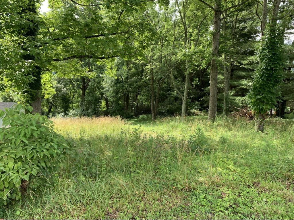 330 Historic Hills Road Kingsport, TN 37663 - Photo 2 of 3 Photo 2