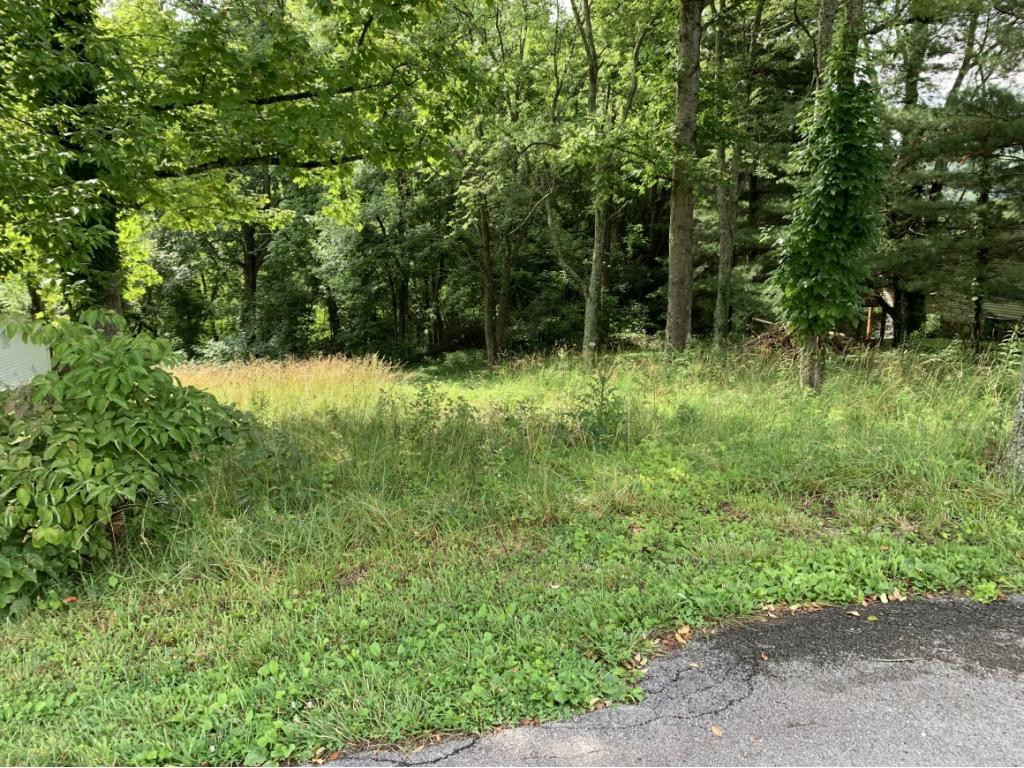 330 Historic Hills Road Kingsport, TN 37663 - Photo 3 of 3 Photo 3