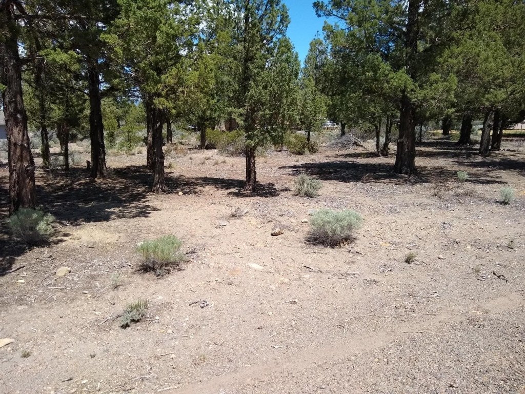 8 2/123 Archer Road Weed, CA 96094 - Photo 4 of 4 Gallery Image 4