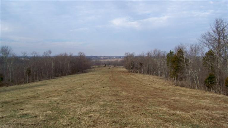 2555 Mt Pleasant Road Owingsville, KY 40360 - Photo 3 of 6 Photo 3