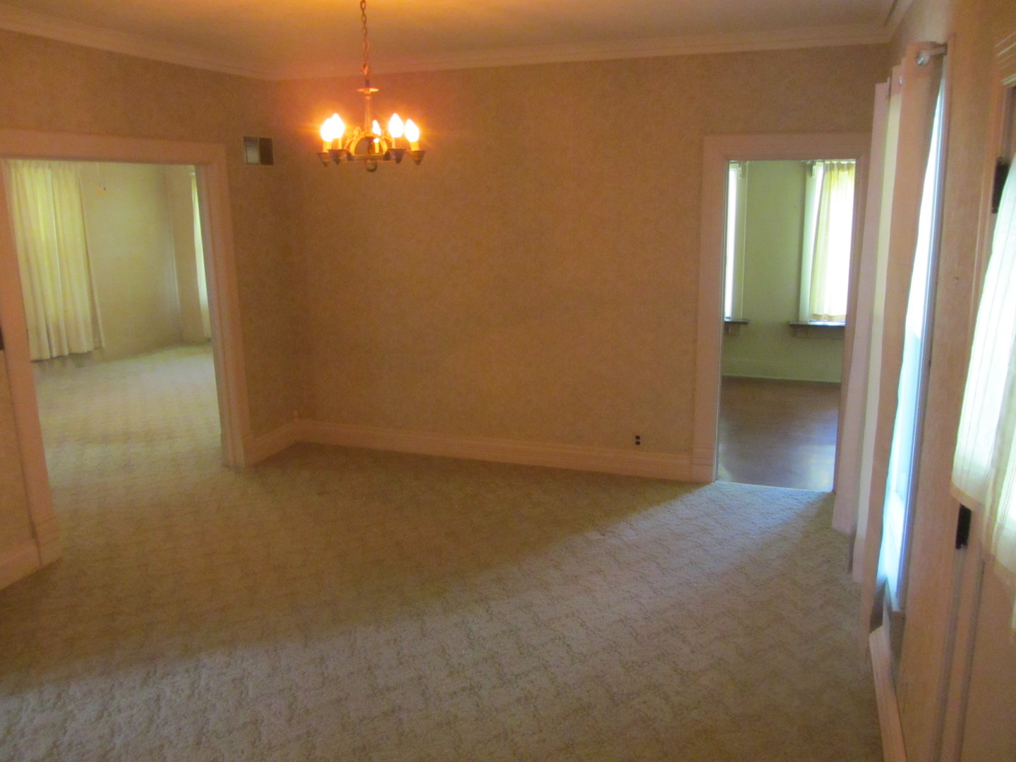 711 West 3rd Street Delavan, IL 61734 - Photo 7 of 39 Gallery Image 7