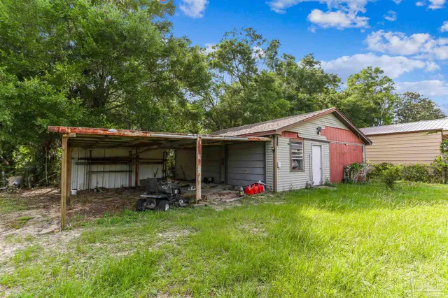 a view of a backyard with plants and large tree