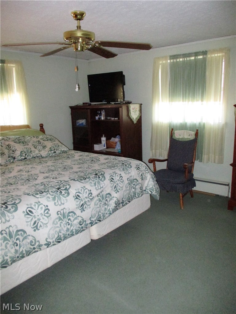 1555 Forman Road Austinburg, OH 44010 - Photo 20 of 35 Gallery Image 20