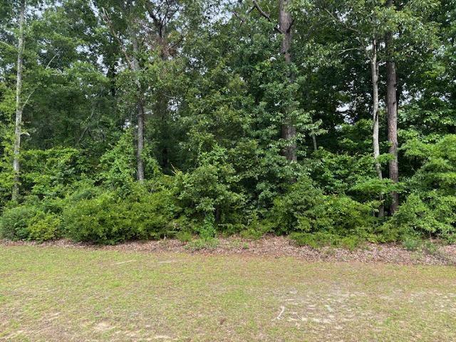0 Sc Highway Barnwell, SC 29812 - Photo 1 of 4 a view of a field with plants and trees in the background