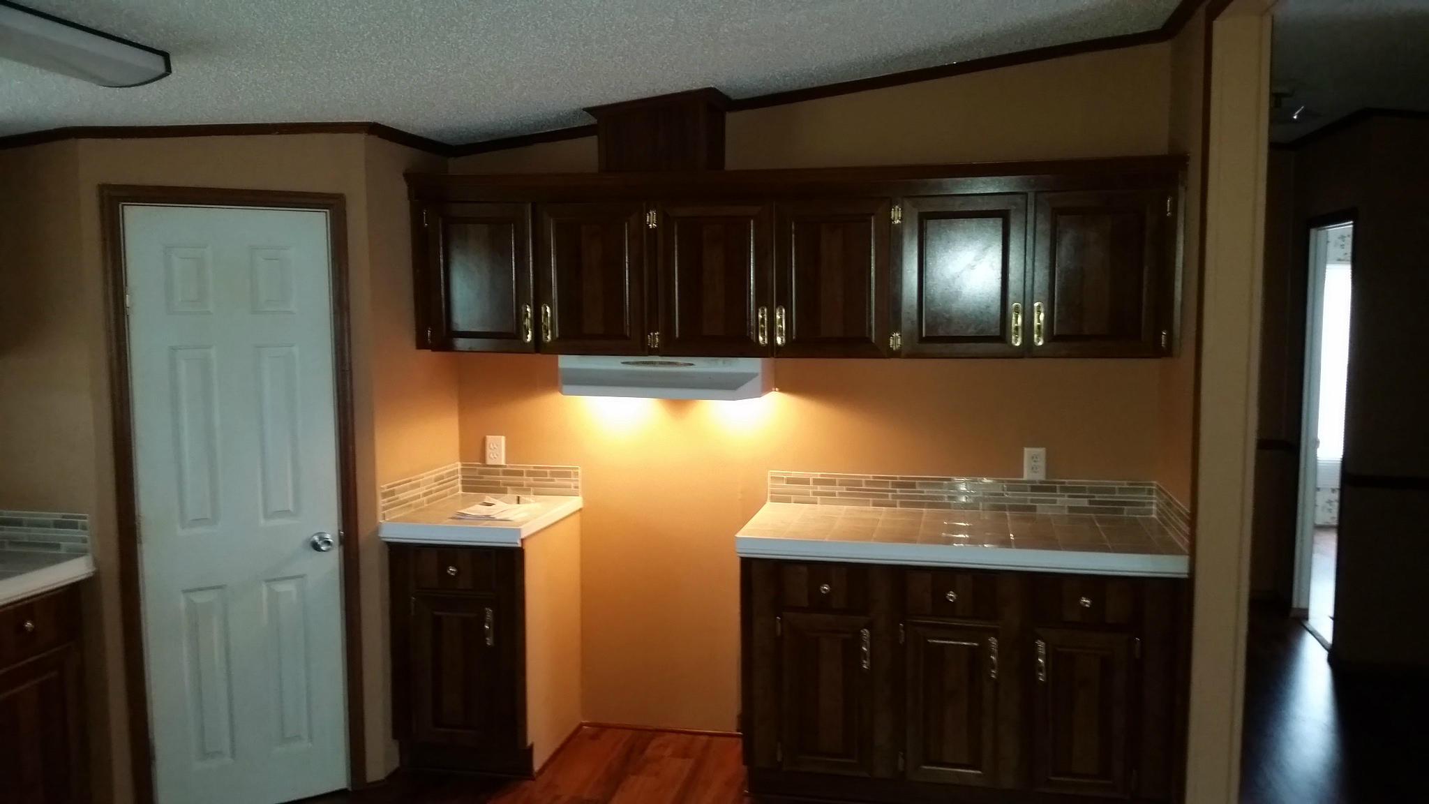 391 Limestone Road Dorchester, SC 29437 - Photo 6 of 8 Kitchen