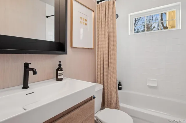 a bathroom with a sink and a toilet