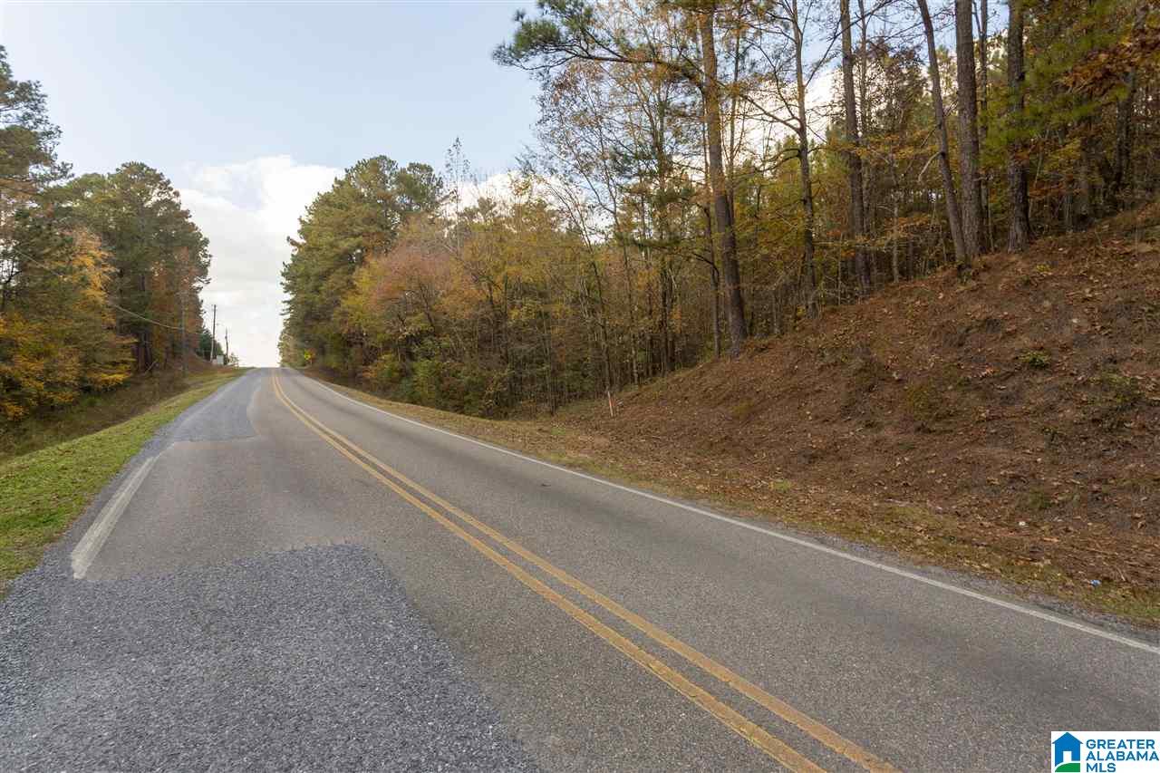 0 County Road 306 Calera, AL 35040 - Photo 9 of 9