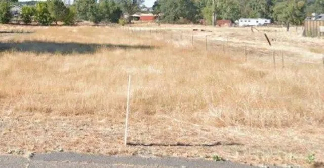 a view of painting on the wall