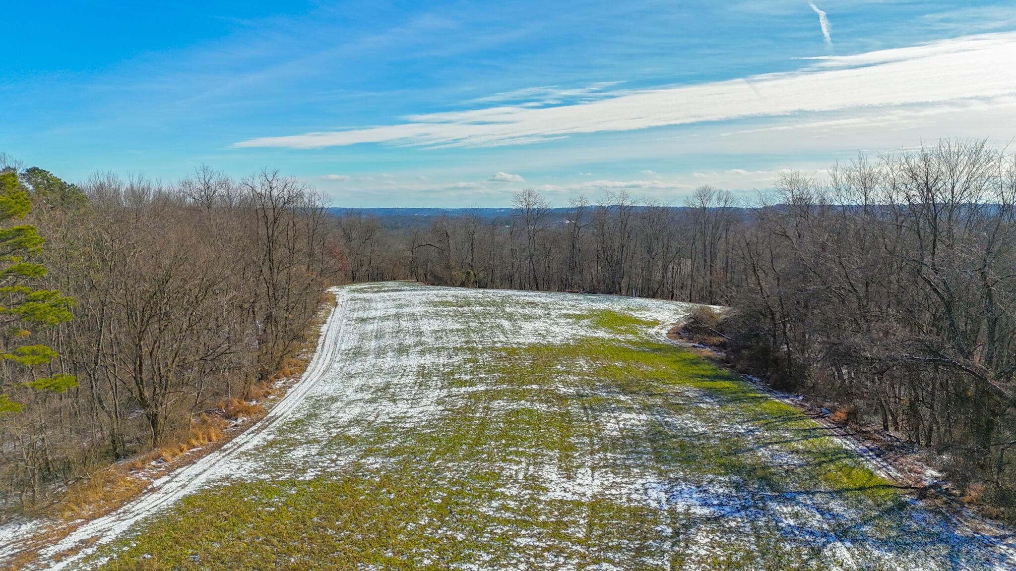 5230 Null Road Coolville, OH 45723 - Photo 29 of 54 Long fork rd.-65