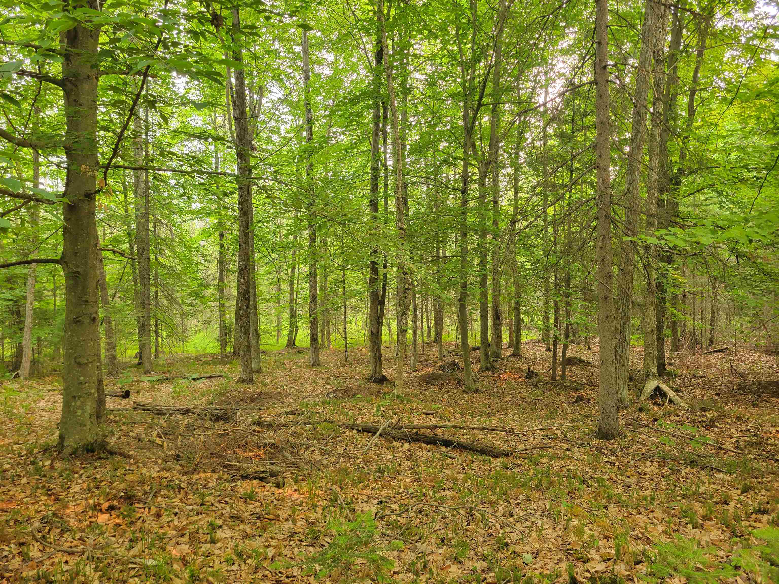 N11005 Rademaker Road Wausaukee, WI 54177 - Photo 14 of 15