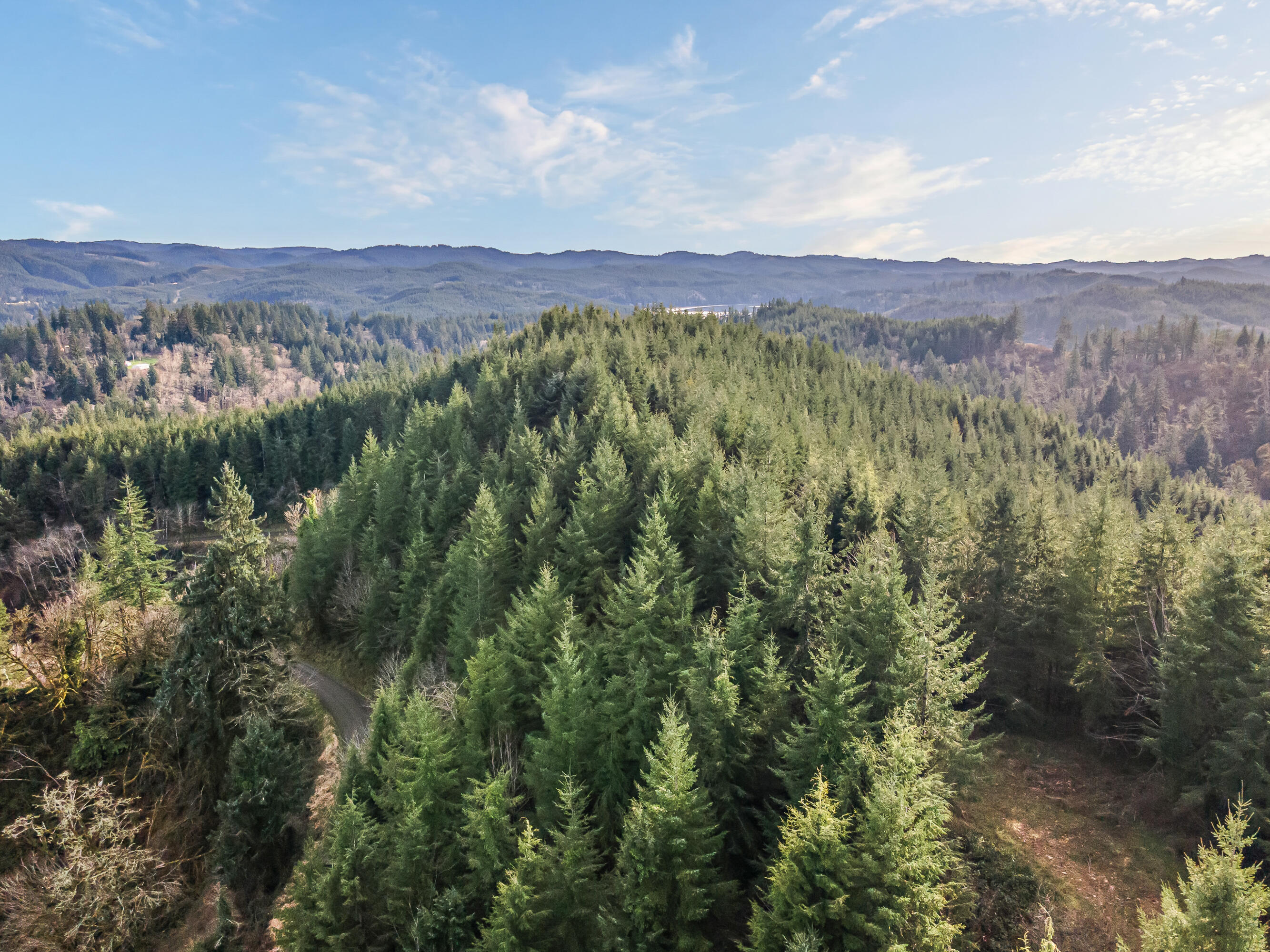 0 Criteser Loop Toledo, OR 97391 - Photo 21 of 31 DJI_0696
