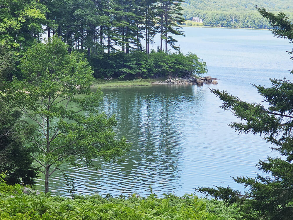 190 Heath Road Bremen, ME 04551 - Photo 24 of 57 Waterfront Looking Northwest