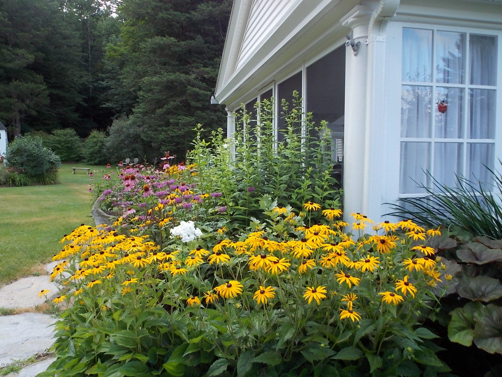 220 Henderson Road Clarksburg, MA 01247 - Photo 14 of 50 DSCN3541