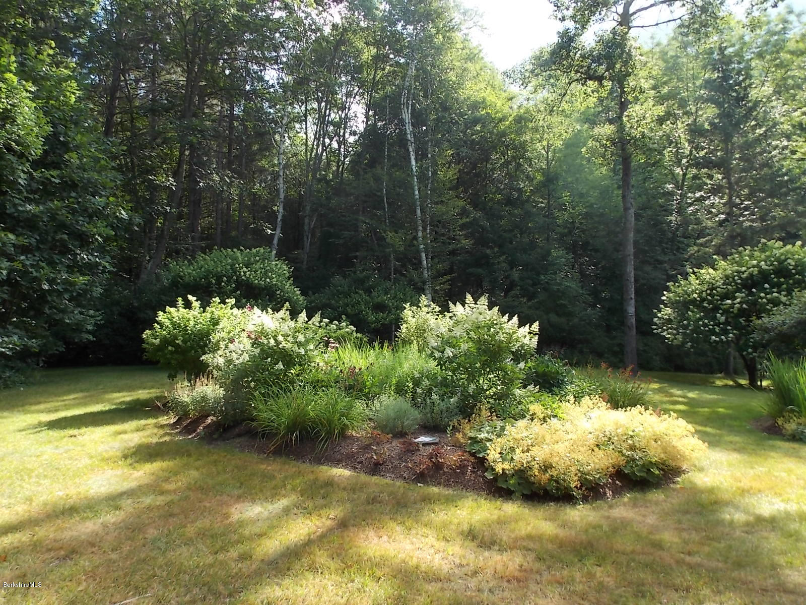 220 Henderson Road Clarksburg, MA 01247 - Photo 9 of 50 DSCN3536