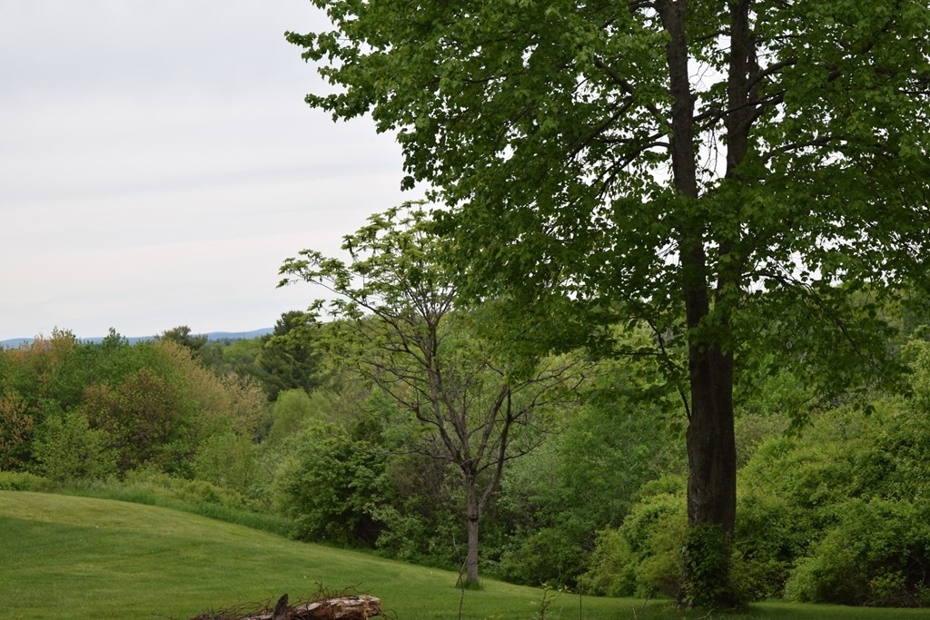 Lot 60 Prospect Hill Road Harvard, MA 01451 - Photo 5 of 5 Gallery Image 5