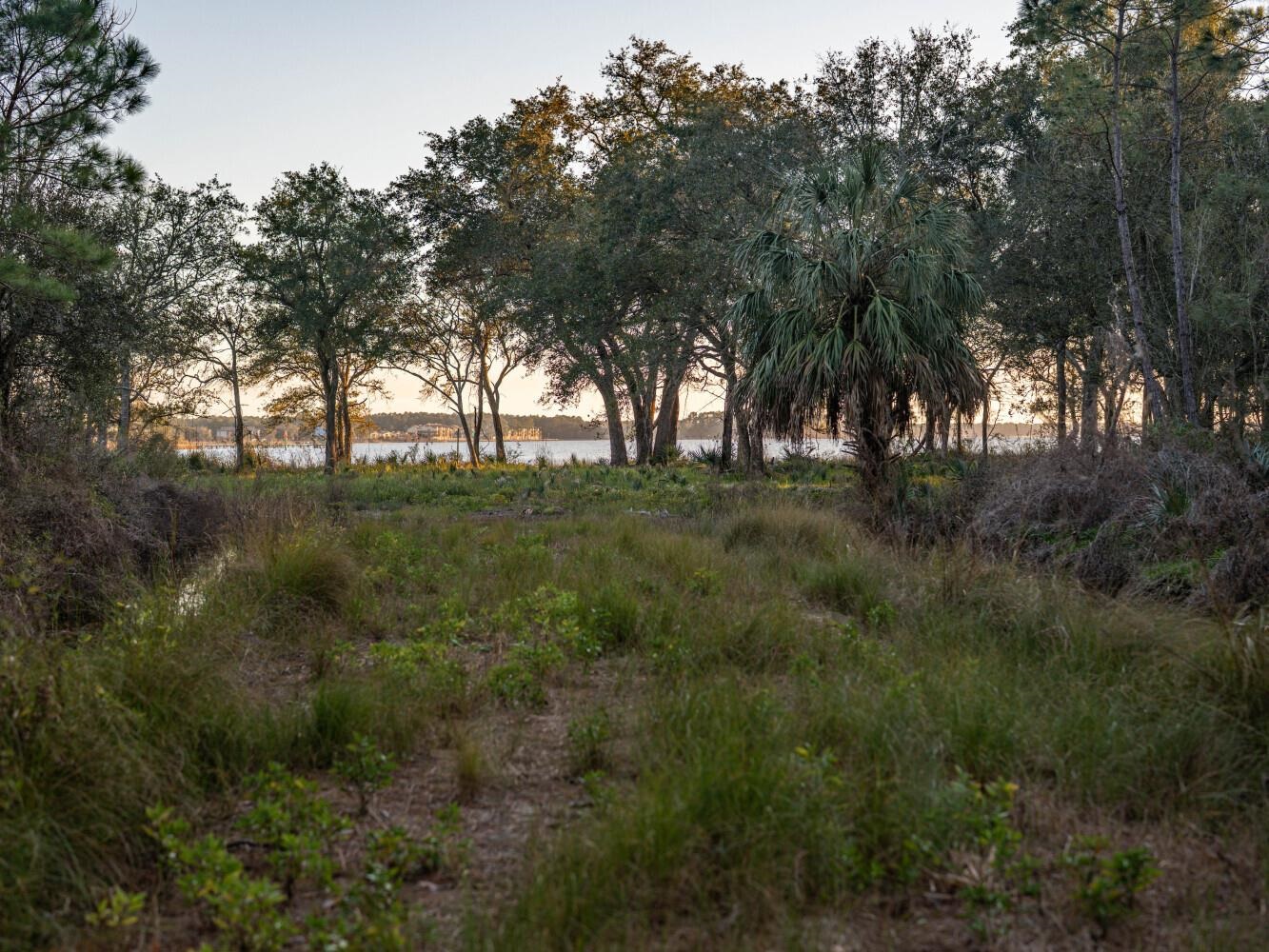 0 Kennedy Road Bon Secour, AL 36511 - Photo 23 of 25