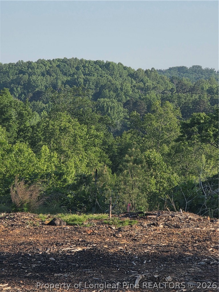 0 Skeen View Road Asheboro, NC 27205 - Photo 6 of 20 a view of a yard with a tree