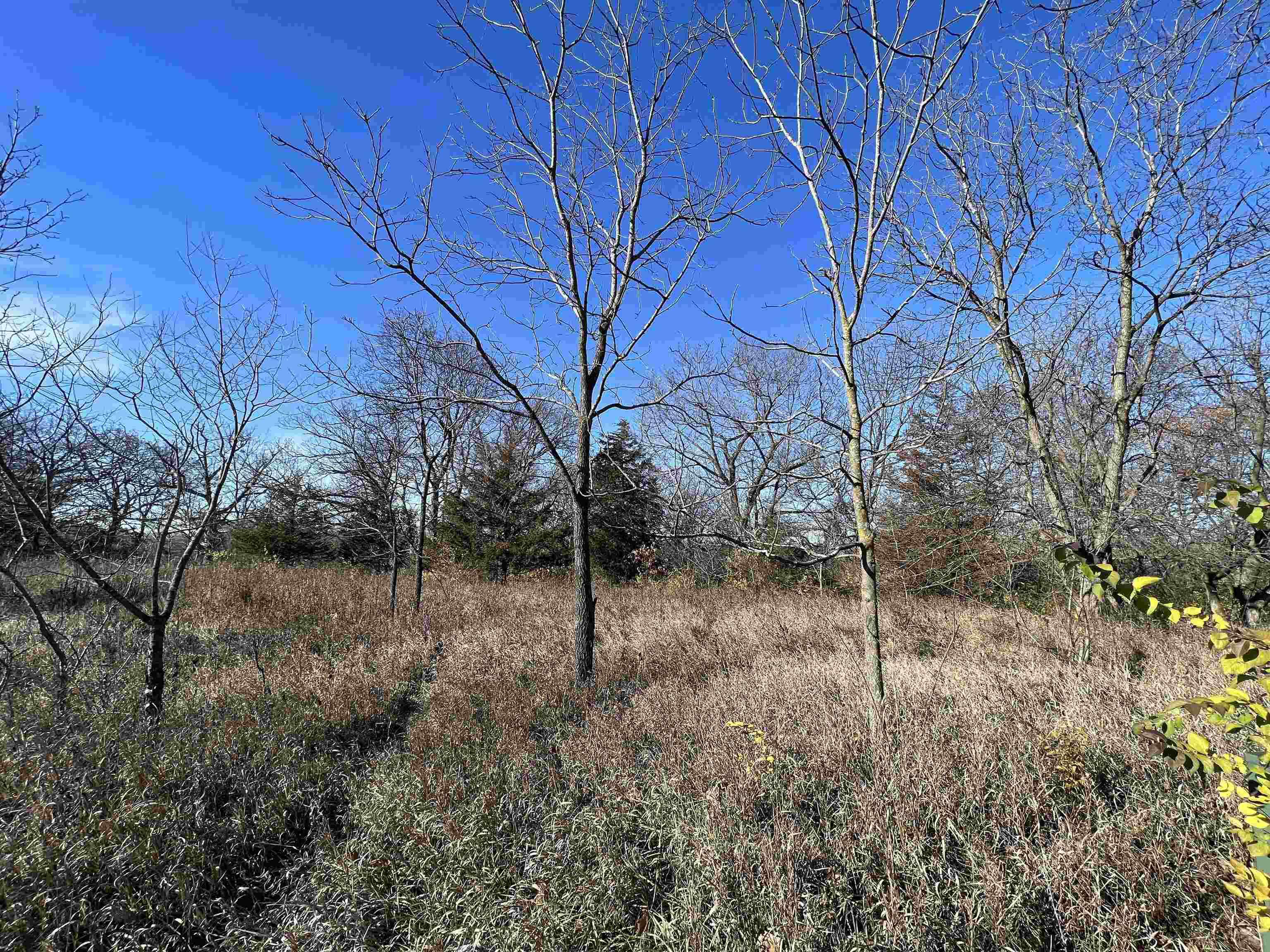 108 North Morley Road Galena, IL 61036 - Photo 3 of 12 Gallery Image 3