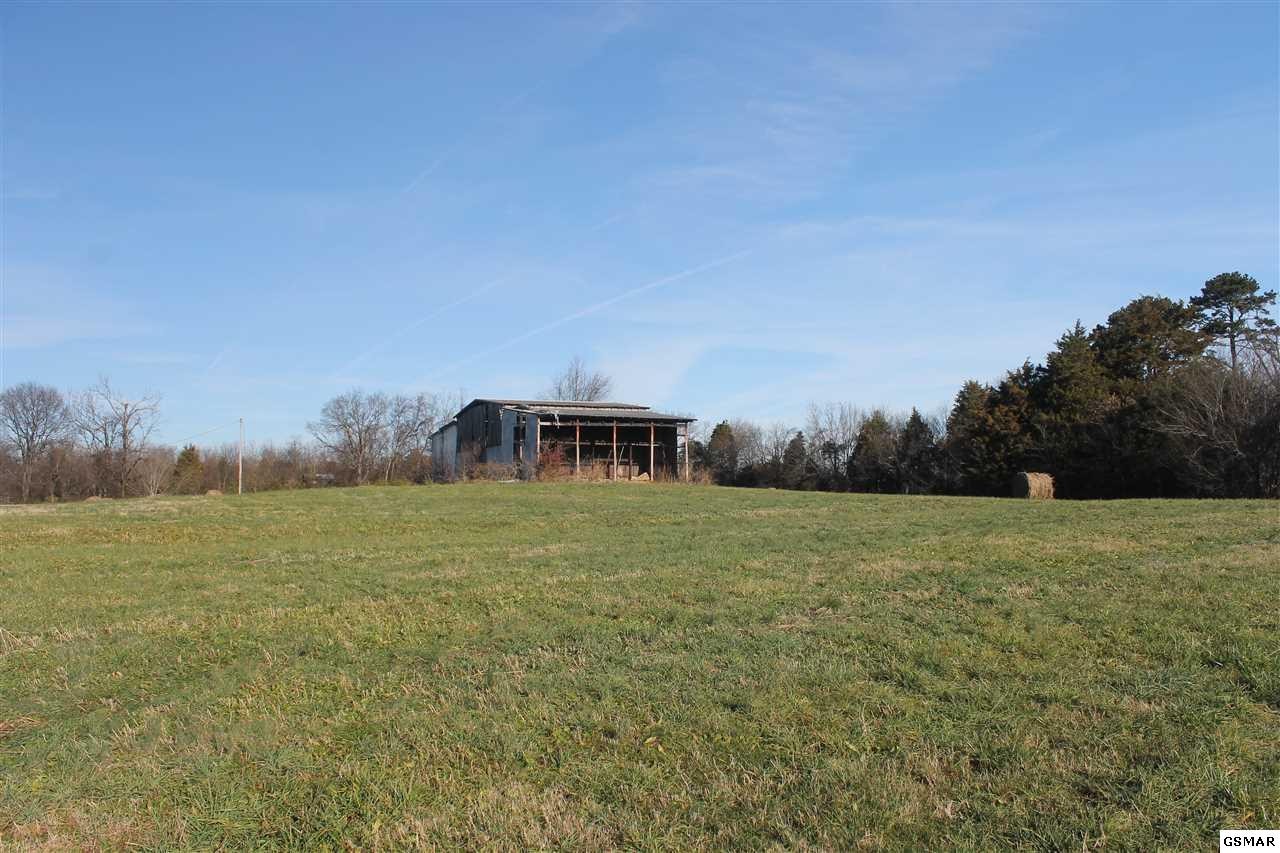 1232 Moore Road Dandridge, TN 37725 - Photo 8 of 10