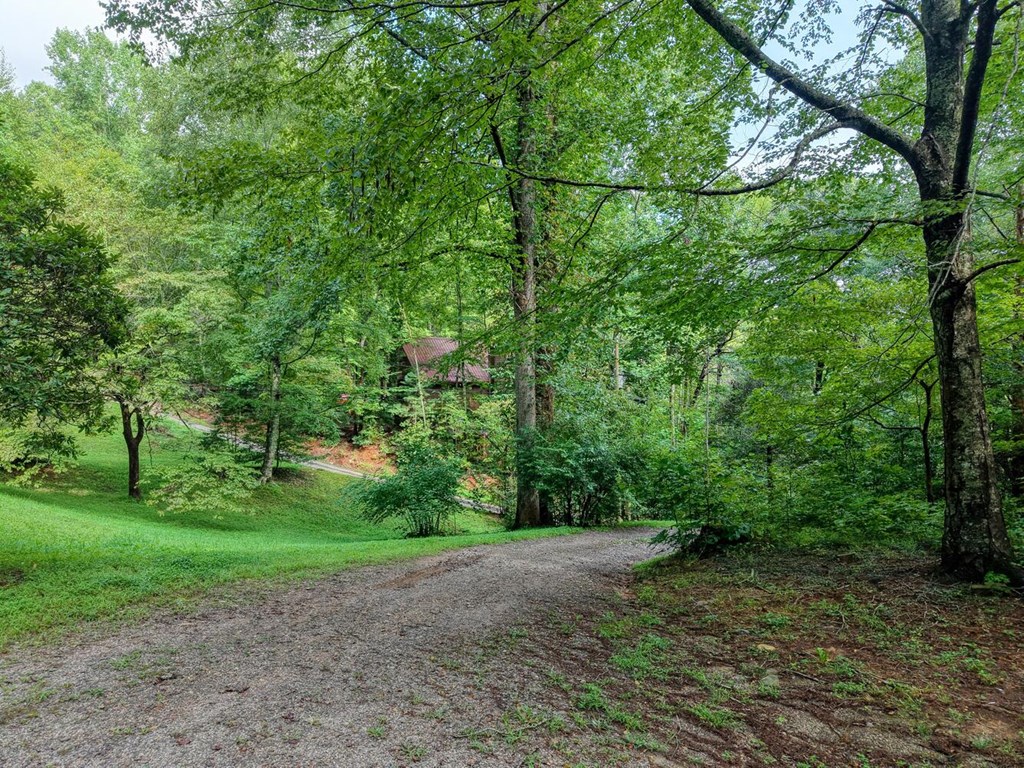 1275 Taylor Road Hiawassee, GA 30546 - Photo 49 of 56 Gallery Image 49