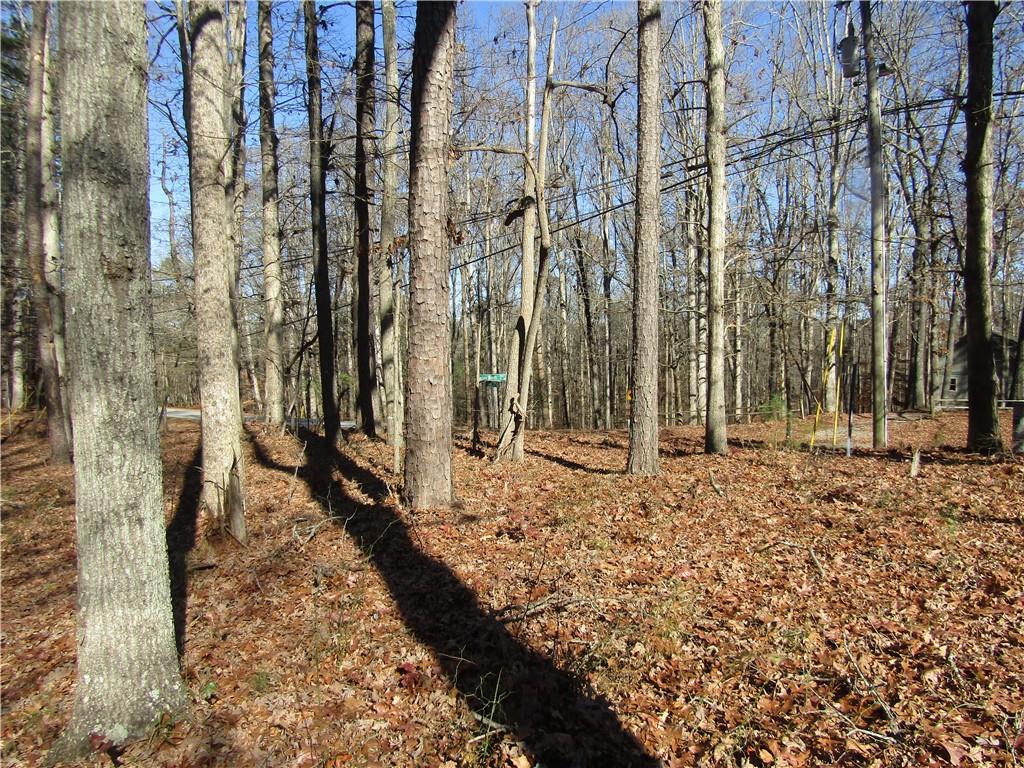 0 Fence Road Dacula, GA 30019 - Photo 1 of 2 a view of a backyard of the house
