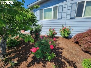 1199 North Terry Street, Unit 287 Eugene, OR 97402 - Photo 6 of 17 a flower view in front of a house