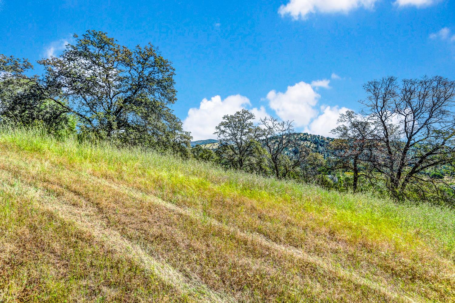 29 Township Road Browns Valley, CA 95918 - Photo 13 of 62 Gallery Image 13