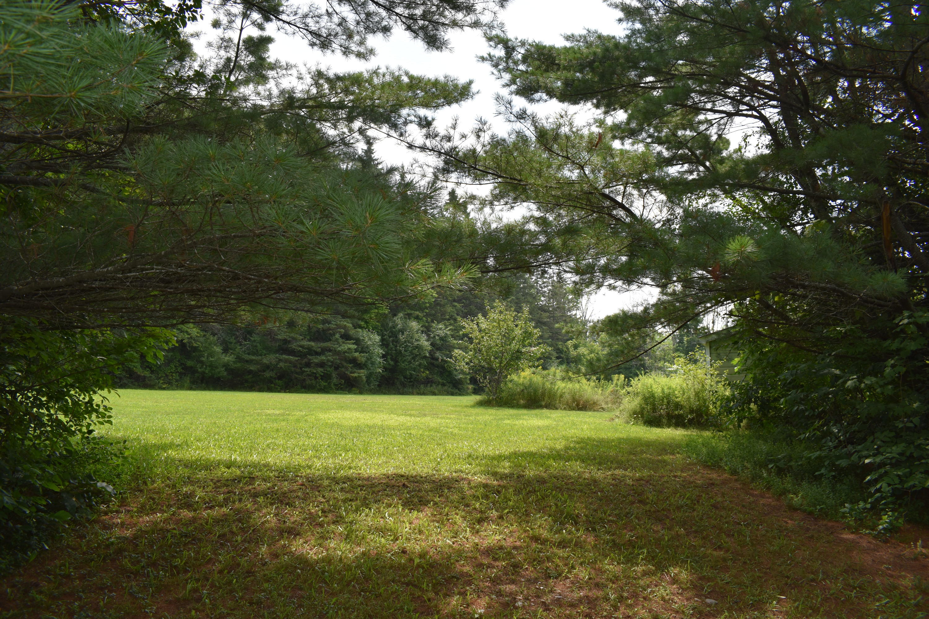 414 Webb Ridge Road Palmyra, ME 04965 - Photo 41 of 49 DSC_0625